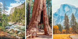 Yosemite National Park