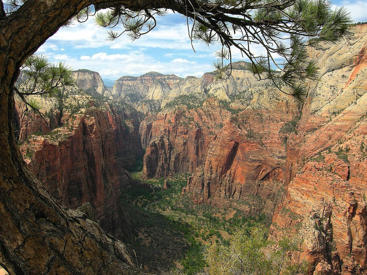 zion national park