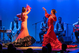 Flamenco Show-1