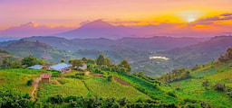 Uganda/Rwanda