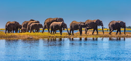 Botswana