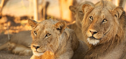 Kenya