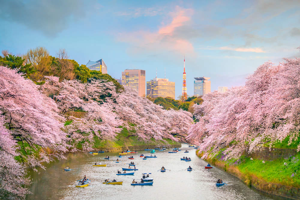 Chidorigafuchi Park