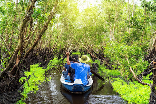 Cruise Through the Mangroves