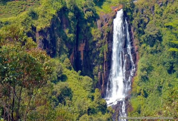 Devon Falls - 1