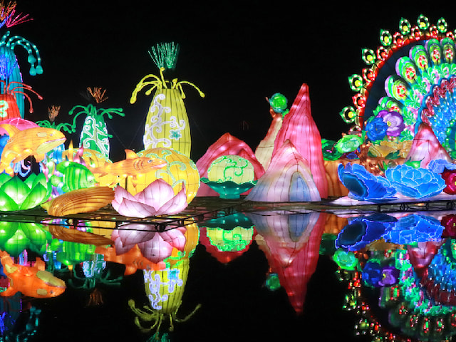 Glow Garden