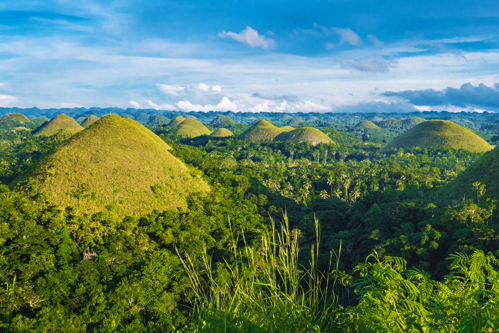 Enjoy The Unusual Chocolate Hills