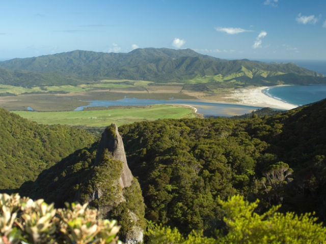 Great Barrier Island 1