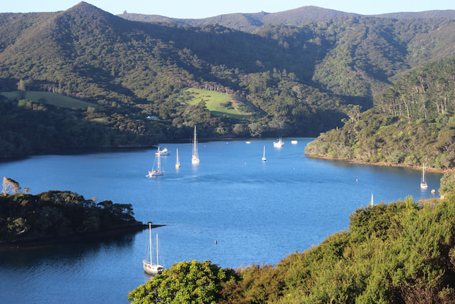 Great Barrier Island