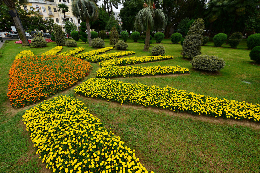 Hakgala Botanical Garden
