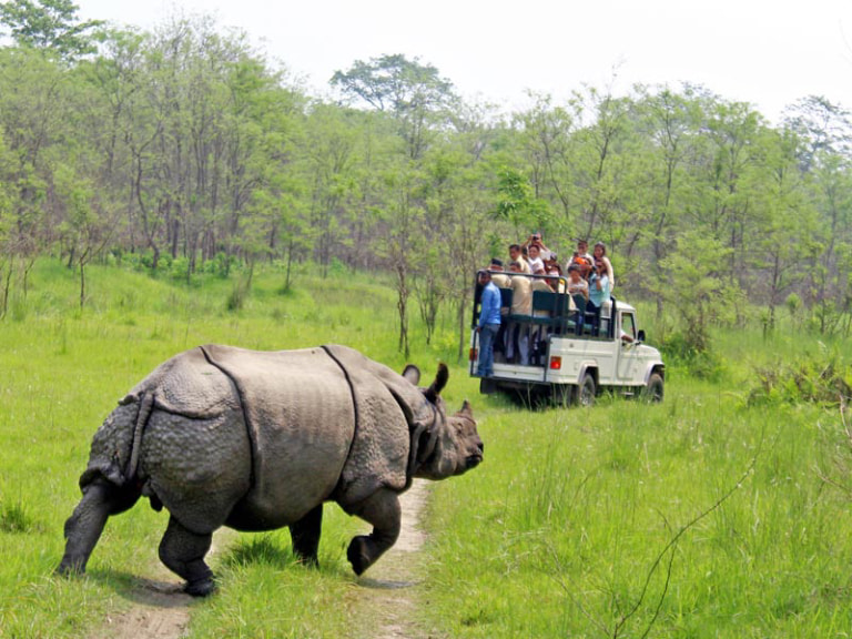 Jeep Safari - 1