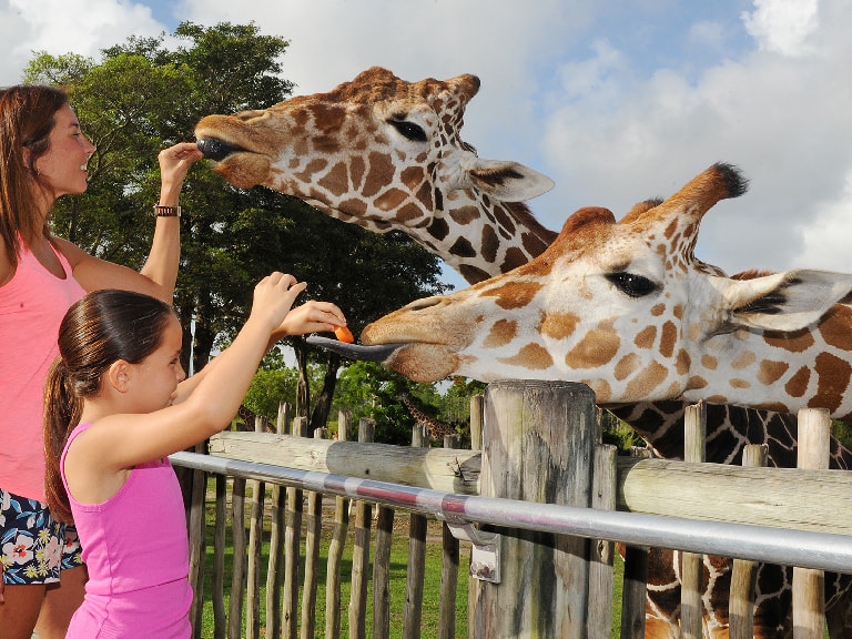  Zoo Miami