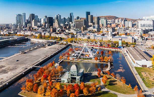 Montreal City Tour  - 1
