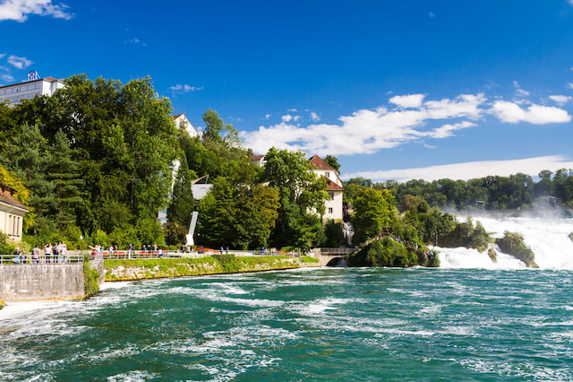 Rhine Falls