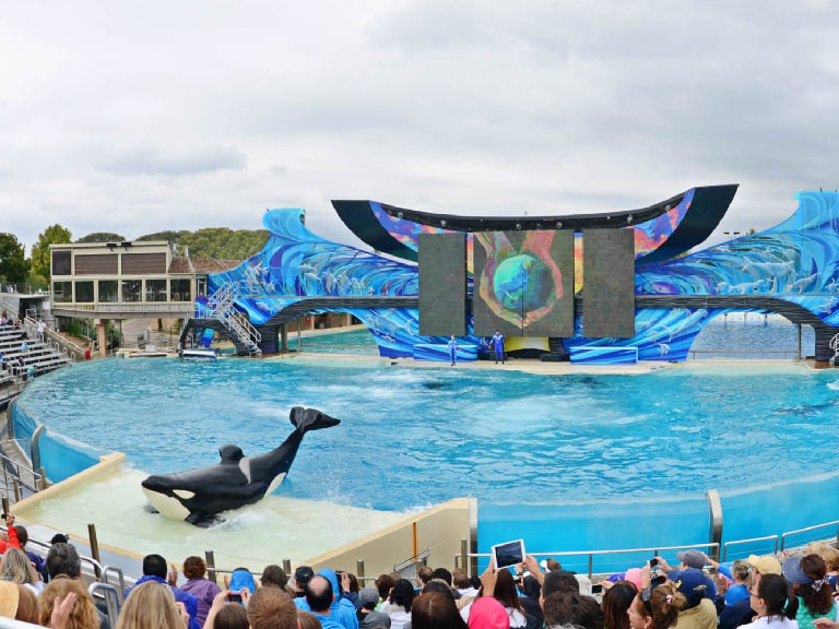 SeaWorld San Diego - 1