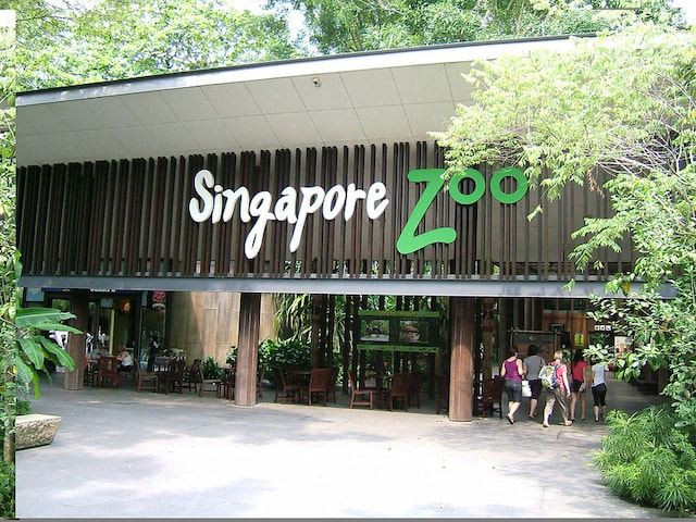 Spend The Day At The Singapore Zoo
