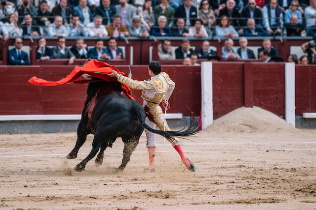 Watch a bullfight