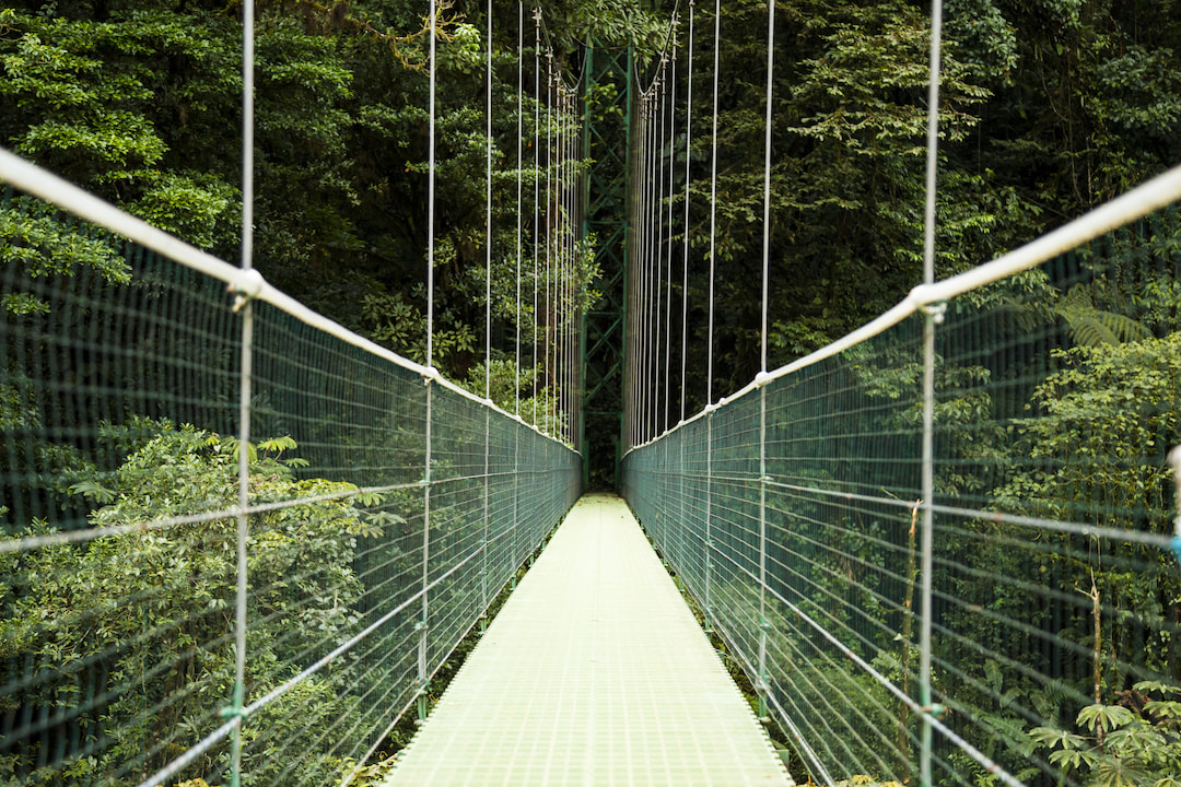 Capilano Suspension Bridge
