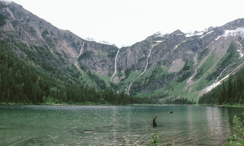 Cliff Dive At Horseshoe Lake
