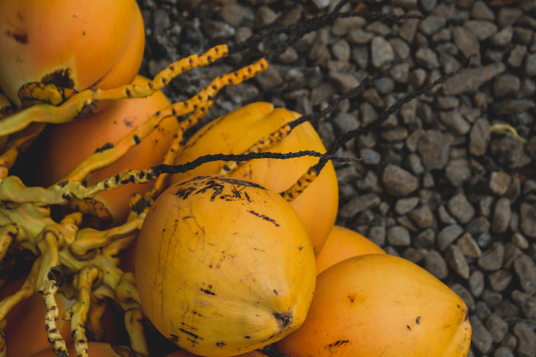 Refresh Yourself with an Orange Coconut