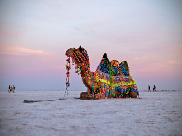 Explore Rann of Kutch