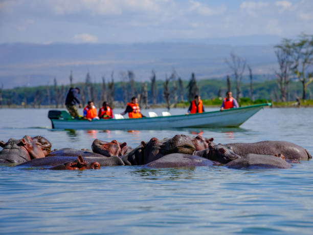 Go Boating at Lake Naivasha
