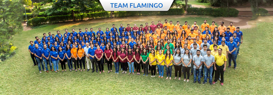 team_flamingo