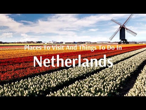 Top Things To Do and Places To See in Netherlands - Flamingo Travels
