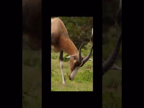 South Africa in 15 Seconds