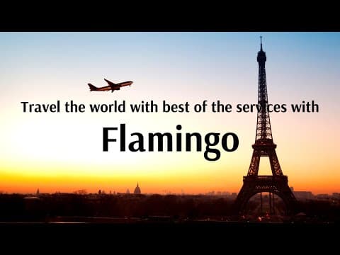 Travel the world with best of the Services with Flamingo Transworld!