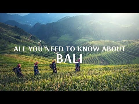 All You Need To Know About Bali - Flamingo Transworld