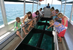 Big Cat Green Island Glass Ottom Boat  - 0