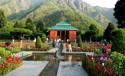 Chashma Shahi Gardens
