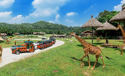 Chimelong Safari Park