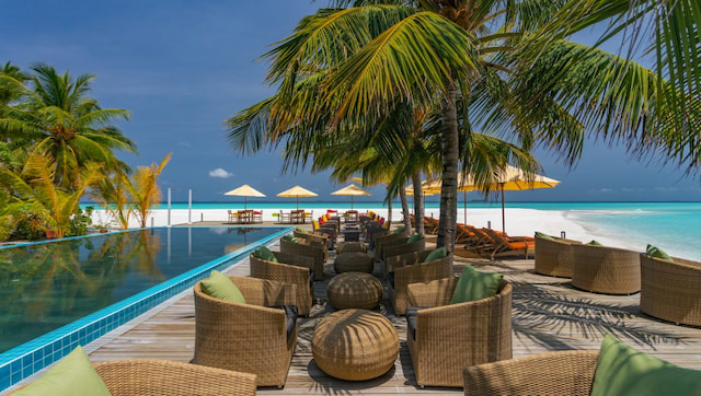Dhigufaru Island Resort Maldives2