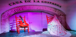 Flamenco Show at La Casa de la Guitarra