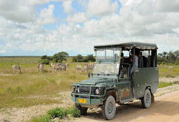 Game Drive Chobe National Park