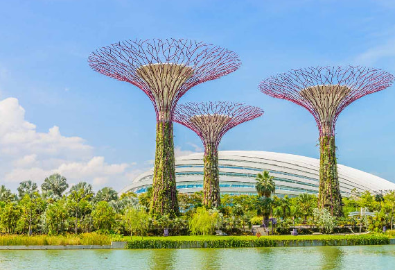 Garden by the Bay (1)