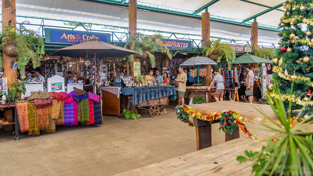 Half day Kuranda Village tour with one way skyrail 2