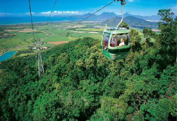 Half Day Kuranda Village Tour With One Way Skyrail - 0