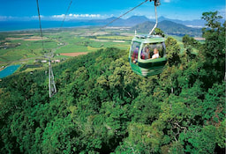 Half Day Kuranda Village Tour With One Way Skyrail - 0