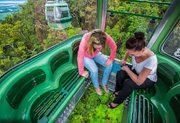 Half Day Kuranda Village Tour With One Way Skyrail 