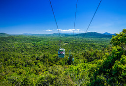Half Day Kuranda Village Tour With One Way Skyrail - 0