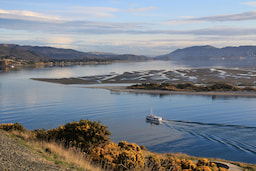 Otago Peninsula Wildlife Tour