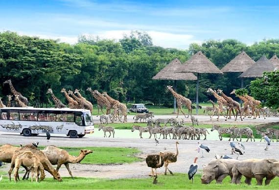 Safari World with Marine Park