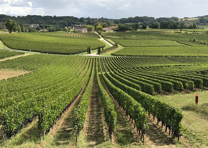 Saint Emilion Half-Day Trip with Wine Tasting And Winery Visit from Bordeaux