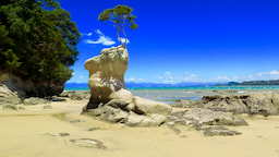 Able Tasman 1
