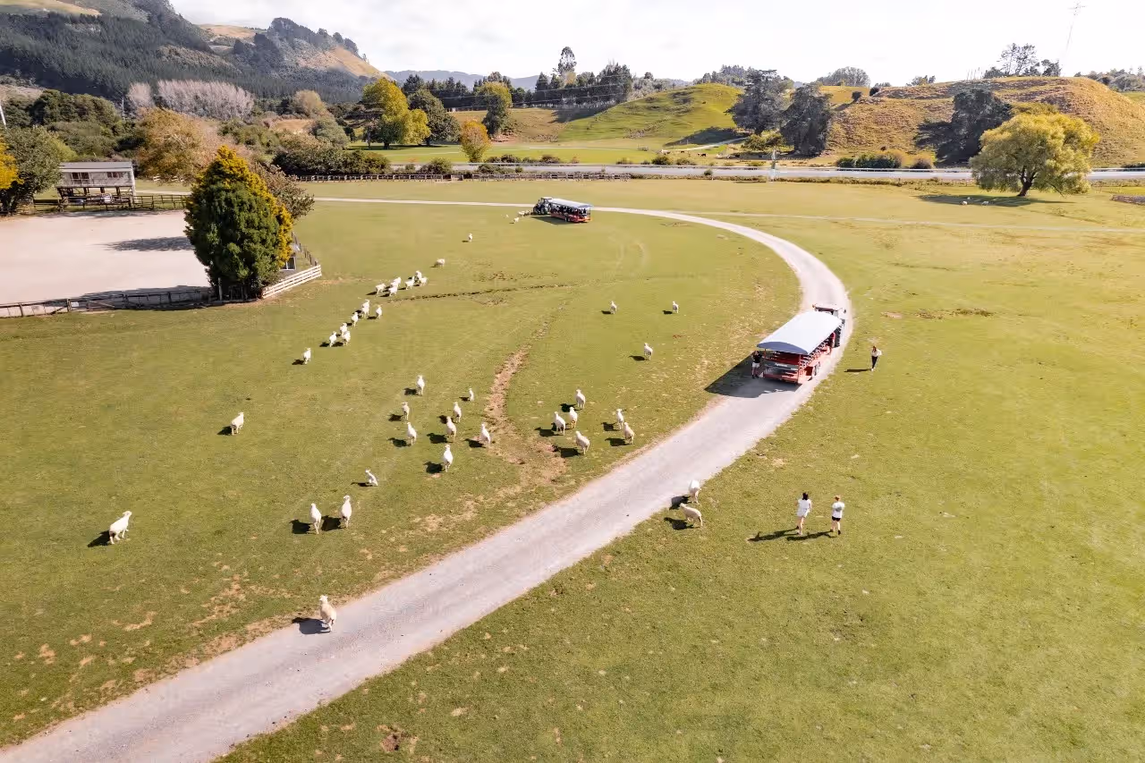 Agrodome Farm 1