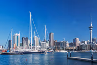Auckland City