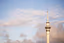 Auckland